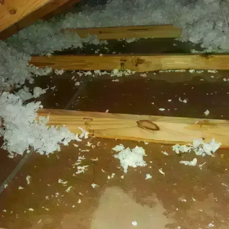 Attic Water Damage in Westlake, LA